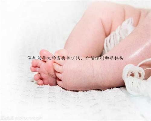 深圳助孕大约需要多少钱，介绍深圳助孕机构