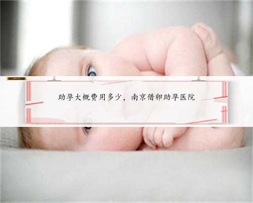 助孕大概费用多少，南京借卵助孕医院