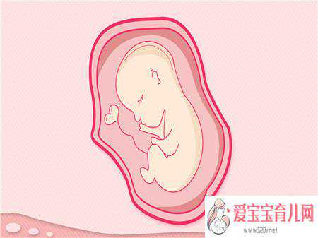 供卵试管包成功总费用是多少，胎儿酒精综合征症状有哪些