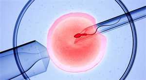 27岁供卵试管成功率,卵巢早衰无法生育应该怎么办？