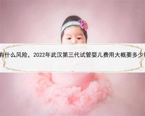 想找代孕的联系我，武汉代怀有什么风险，2022年武汉第三代试管婴儿费用大概