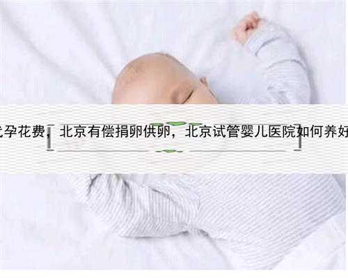 gay代孕花费，北京有偿捐卵供卵，北京试管婴儿医院如何养好卵子